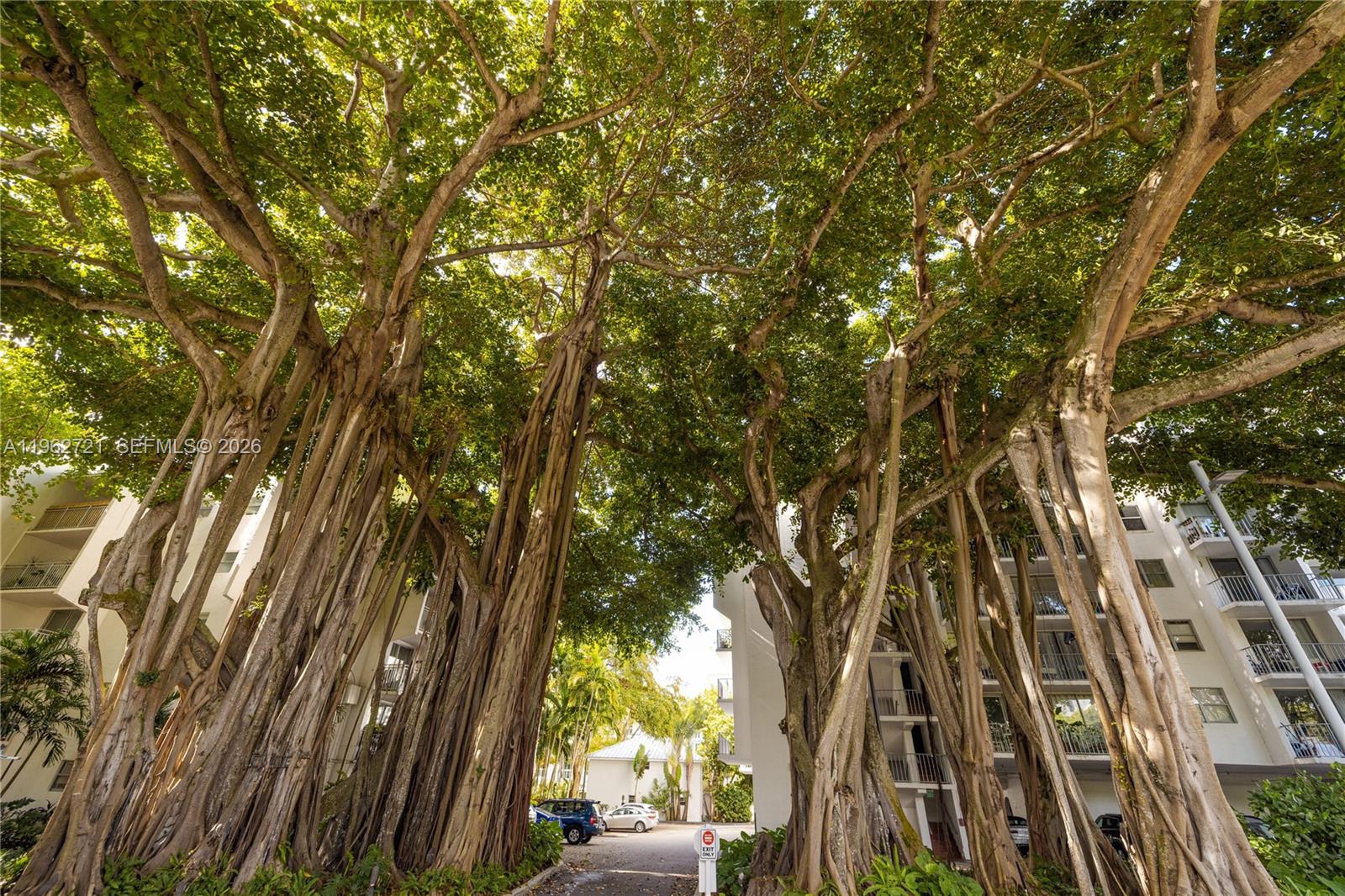 680 NE 64th St #APH3 Miami, FL 33138