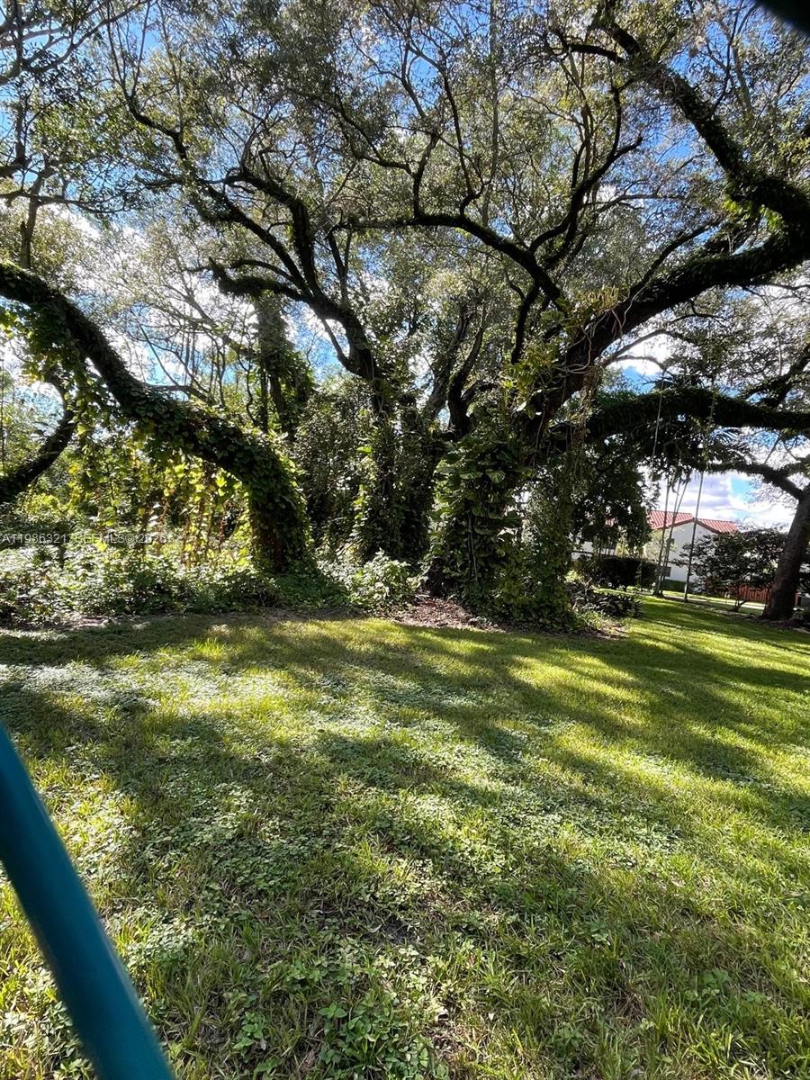 511 Ives Dairy Rd #301-6 Miami, FL 33179