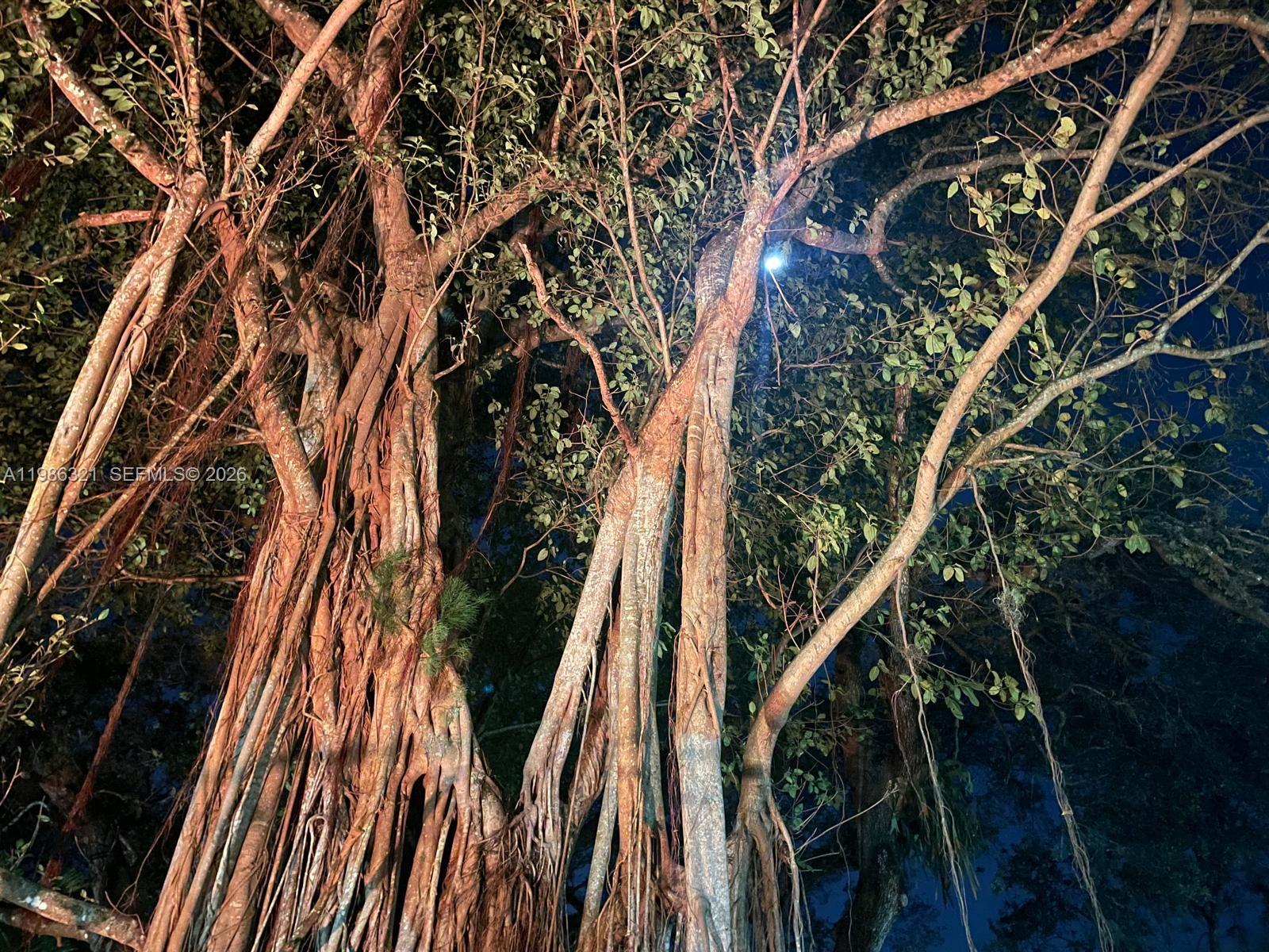 511 Ives Dairy Rd #301-6 Miami, FL 33179