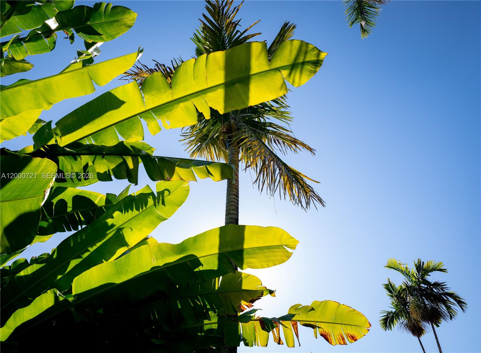 4867 SW 82nd St Miami, FL 33143