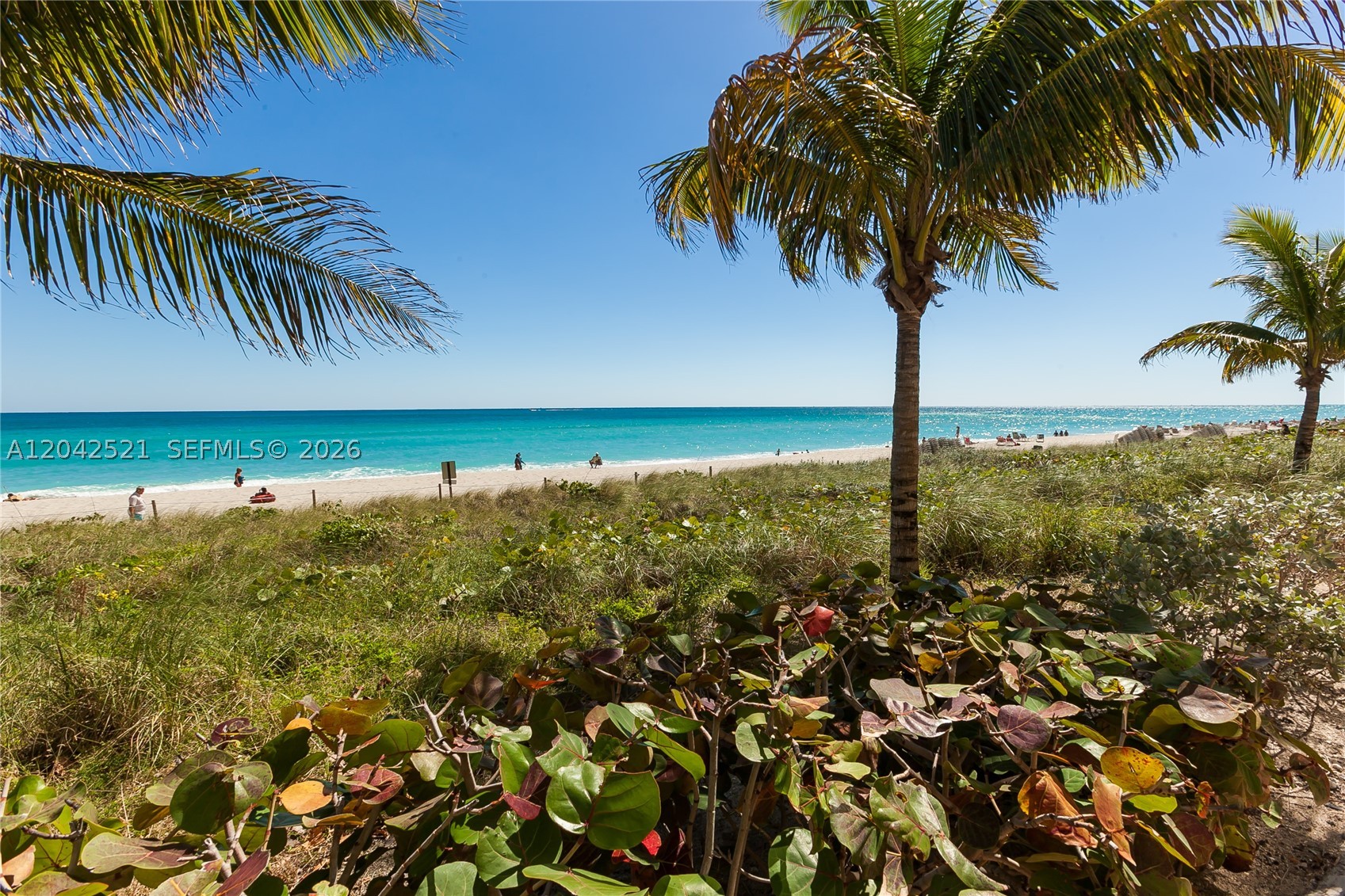 image Beach Club 329