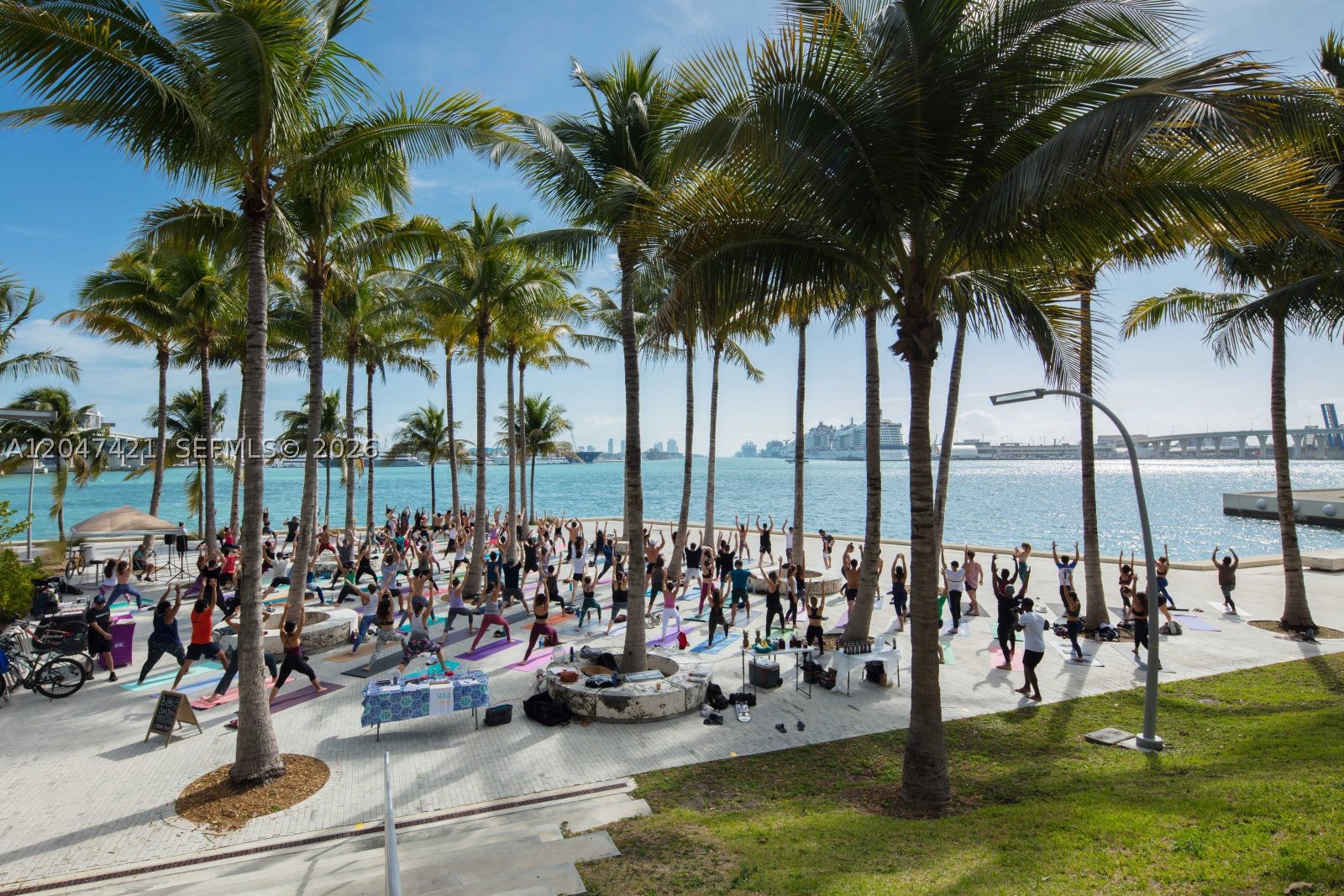 image 900 Biscayne Bay33