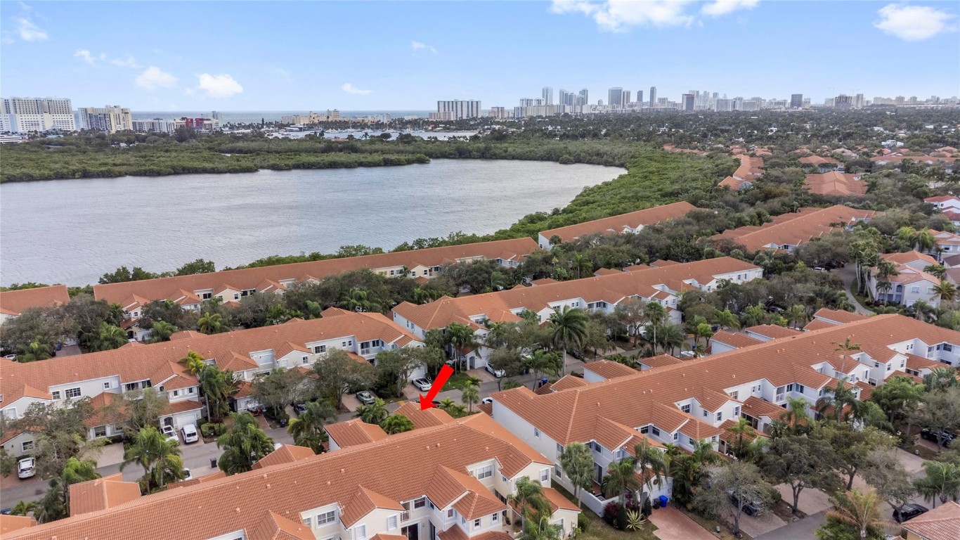 1554 Yellowheart #1554