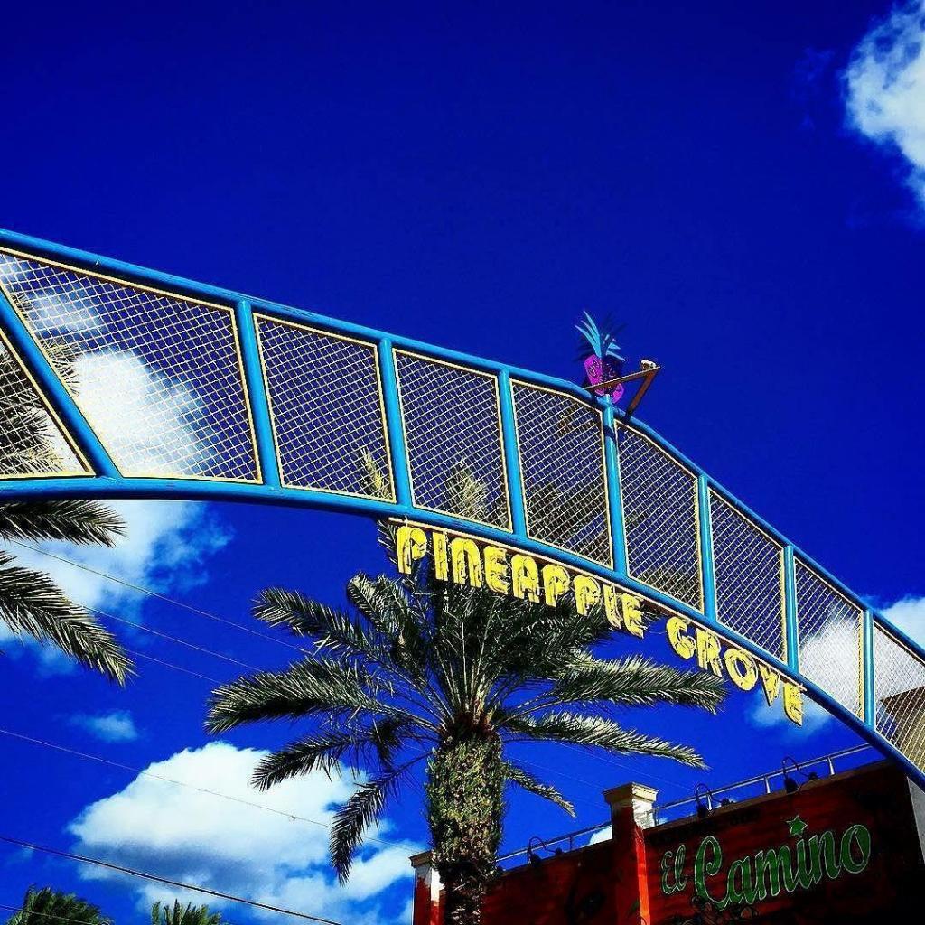 5190 Las Verdes Cir #224,Delray Beach, FL 33484