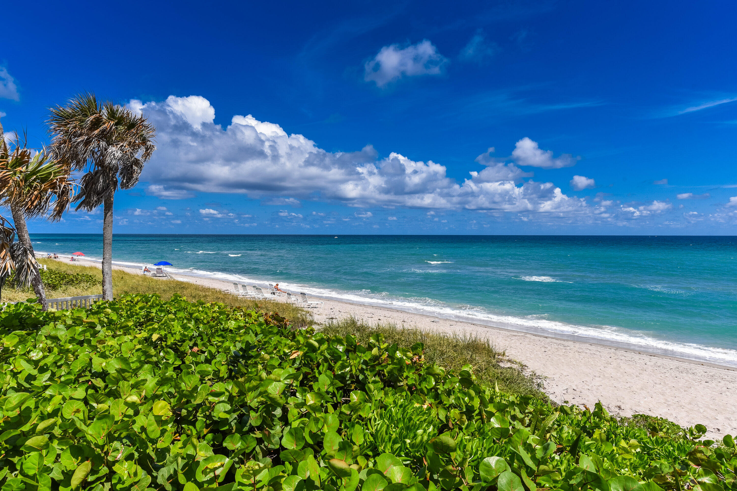 485 E Royal Palm #403 Boca Raton, FL 33432