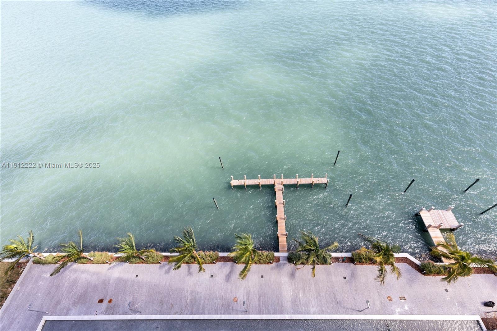 3131 NE 7th Ave #1203 Miami, FL 33137