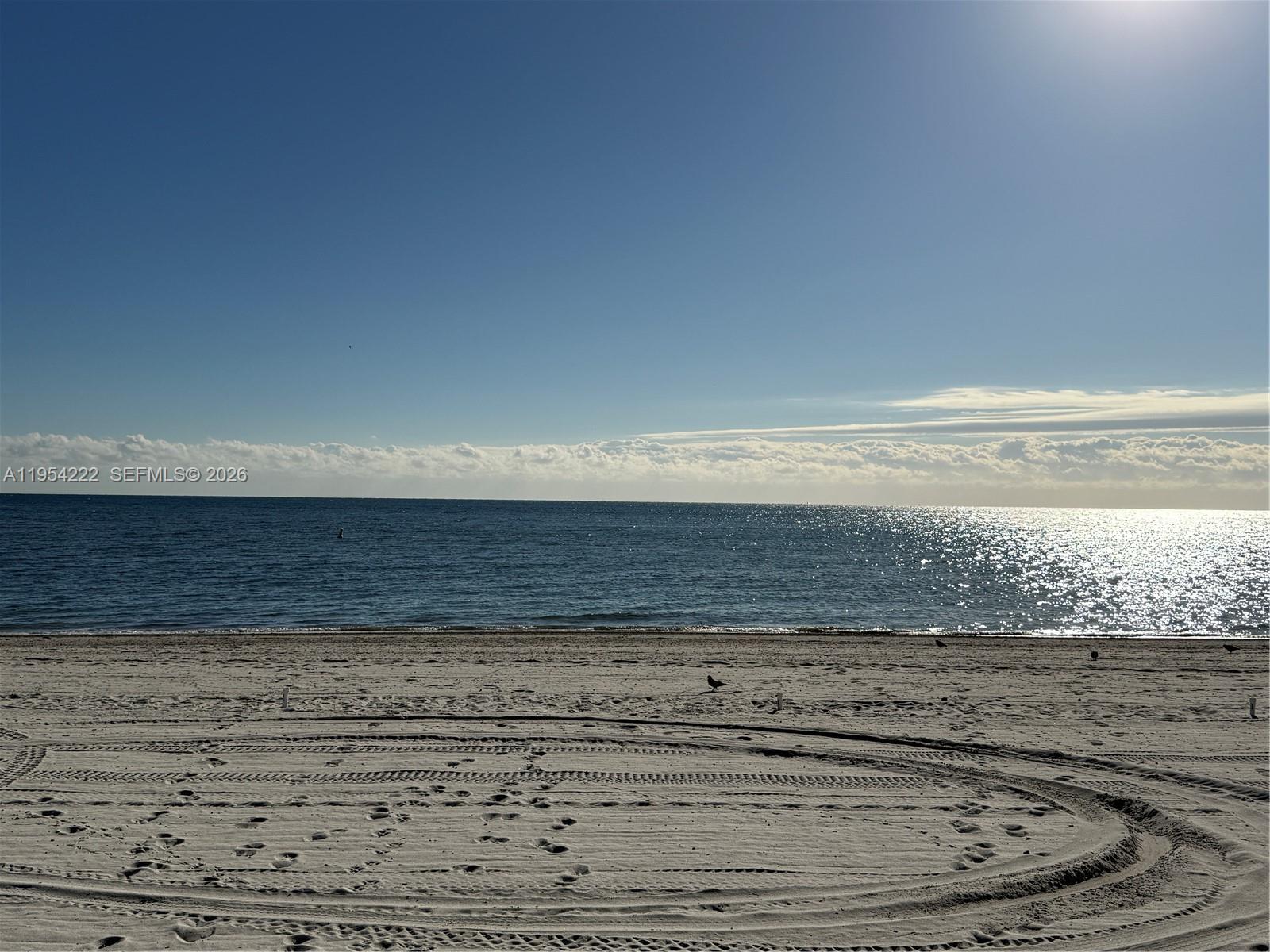 image Tidemark at Key Colony34