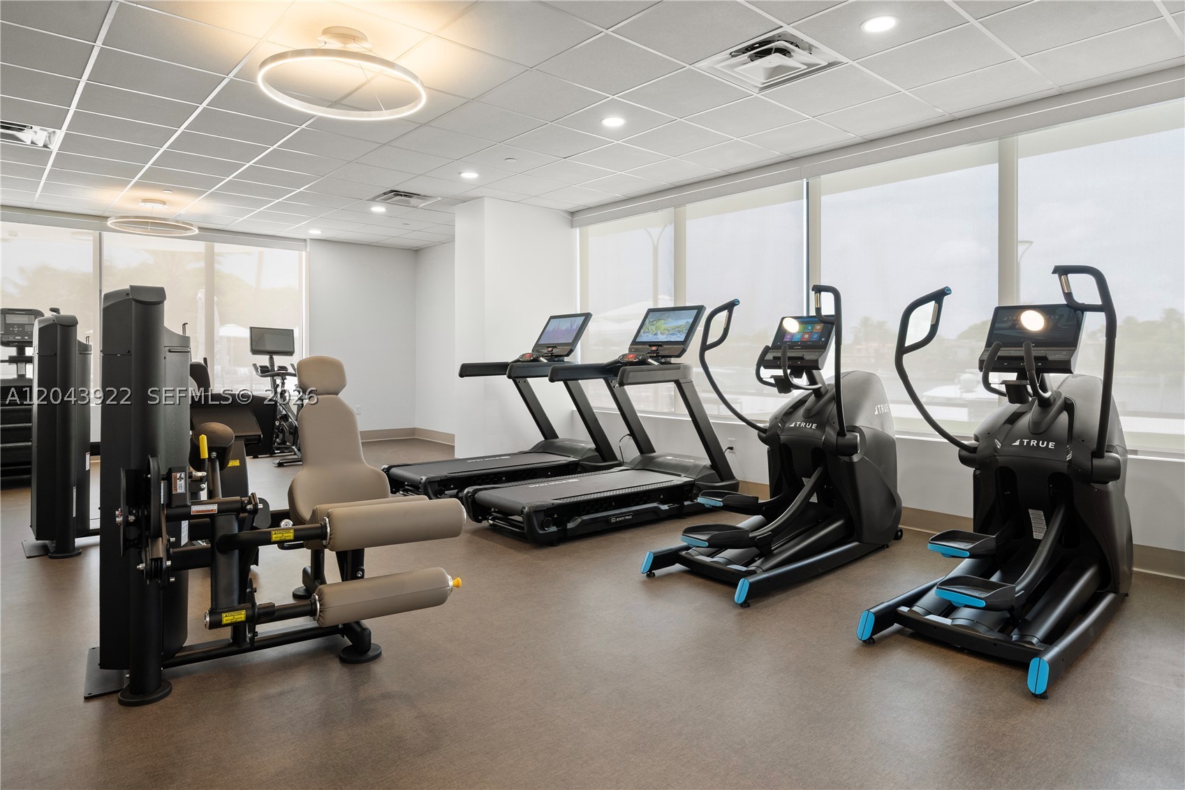 5500 Collins Ave #1902 Miami Beach, FL 33140