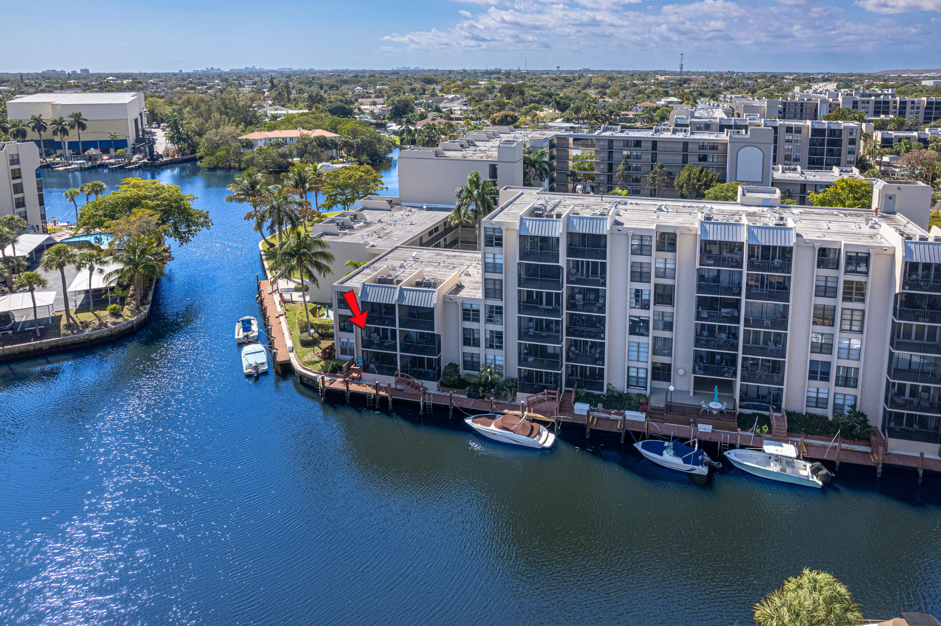 6 Royal Palm #211