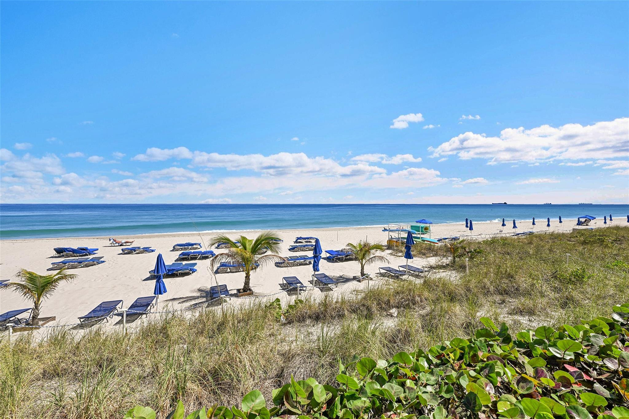 3700 Galt Ocean #1215 Fort Lauderdale, FL 33308