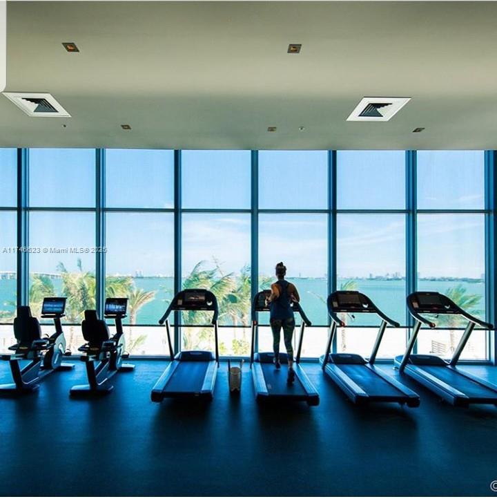 image Biscayne Beach25