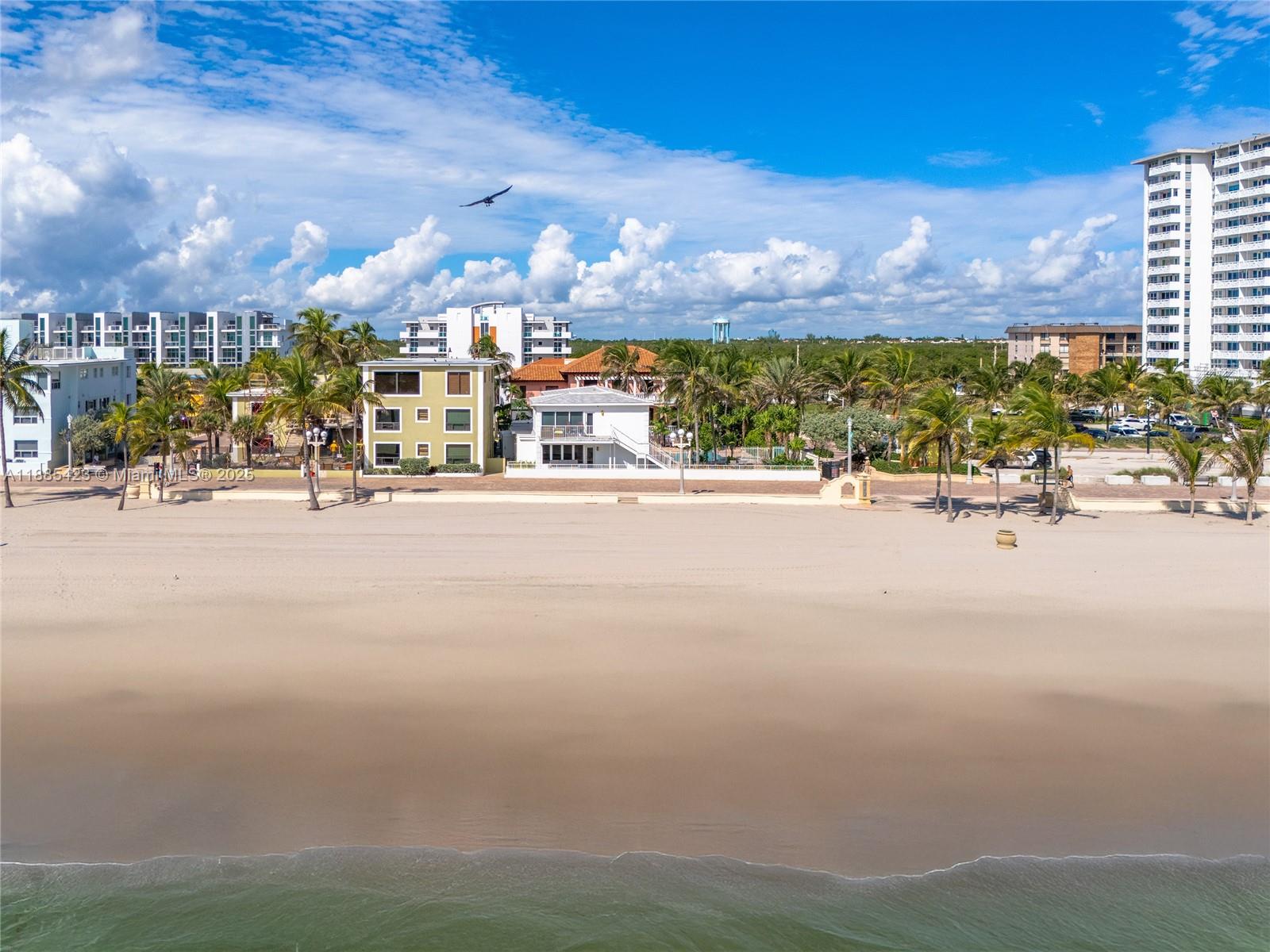 2910 N Surf Rd Hollywood, FL 33019 2910 N Surf Rd Hollywood, FL 33019