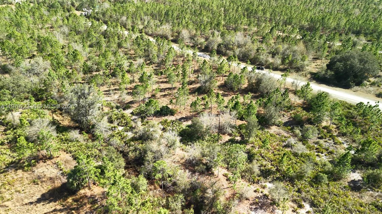 Portulaca Dr Other, FL 33855