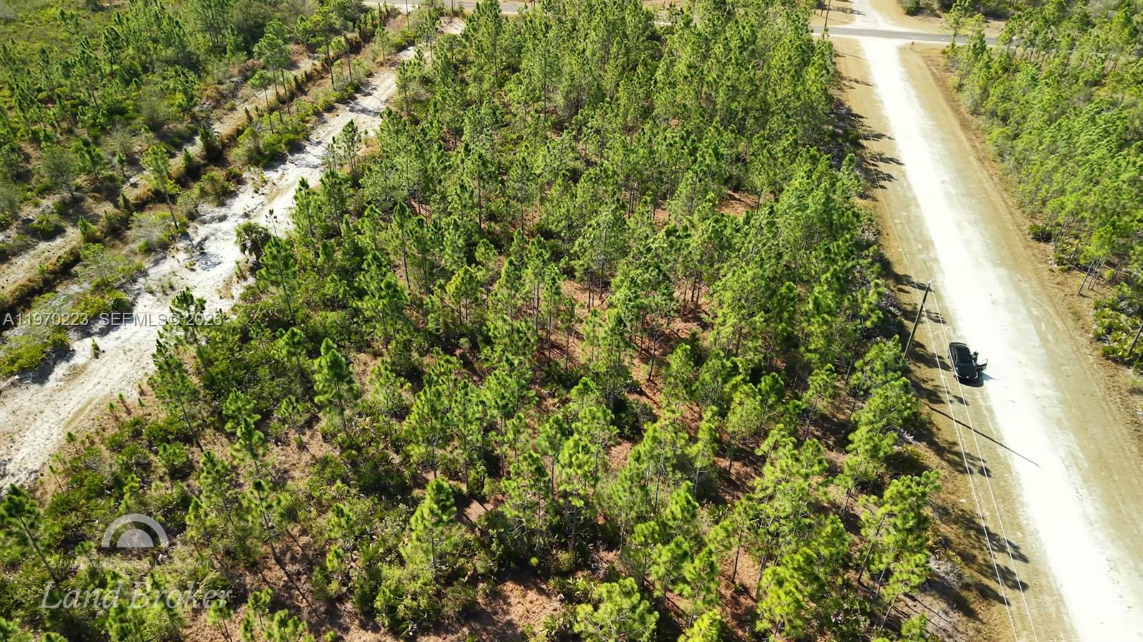 Portulaca Dr Other, FL 33855