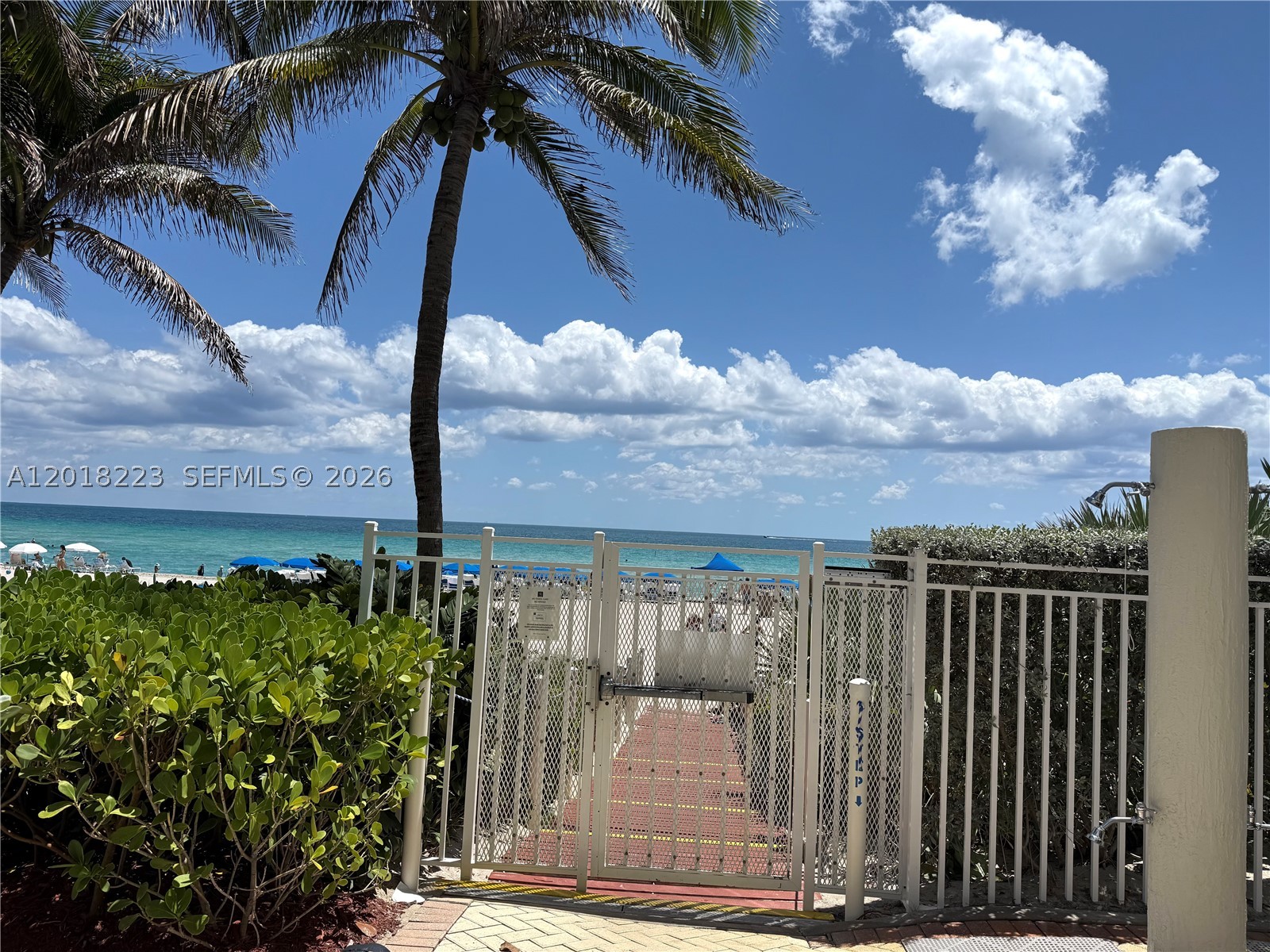 image Ocean Four37