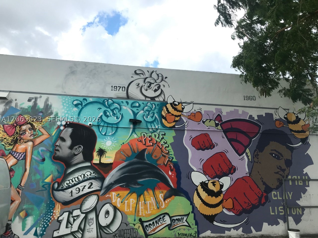 image Canvas26