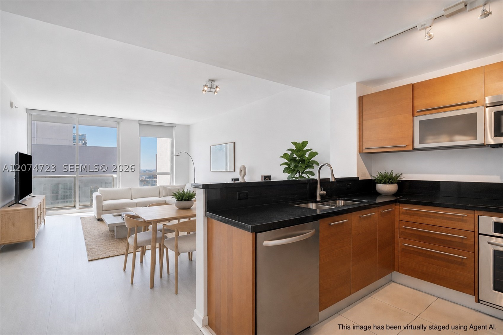 image Vizcayne South8