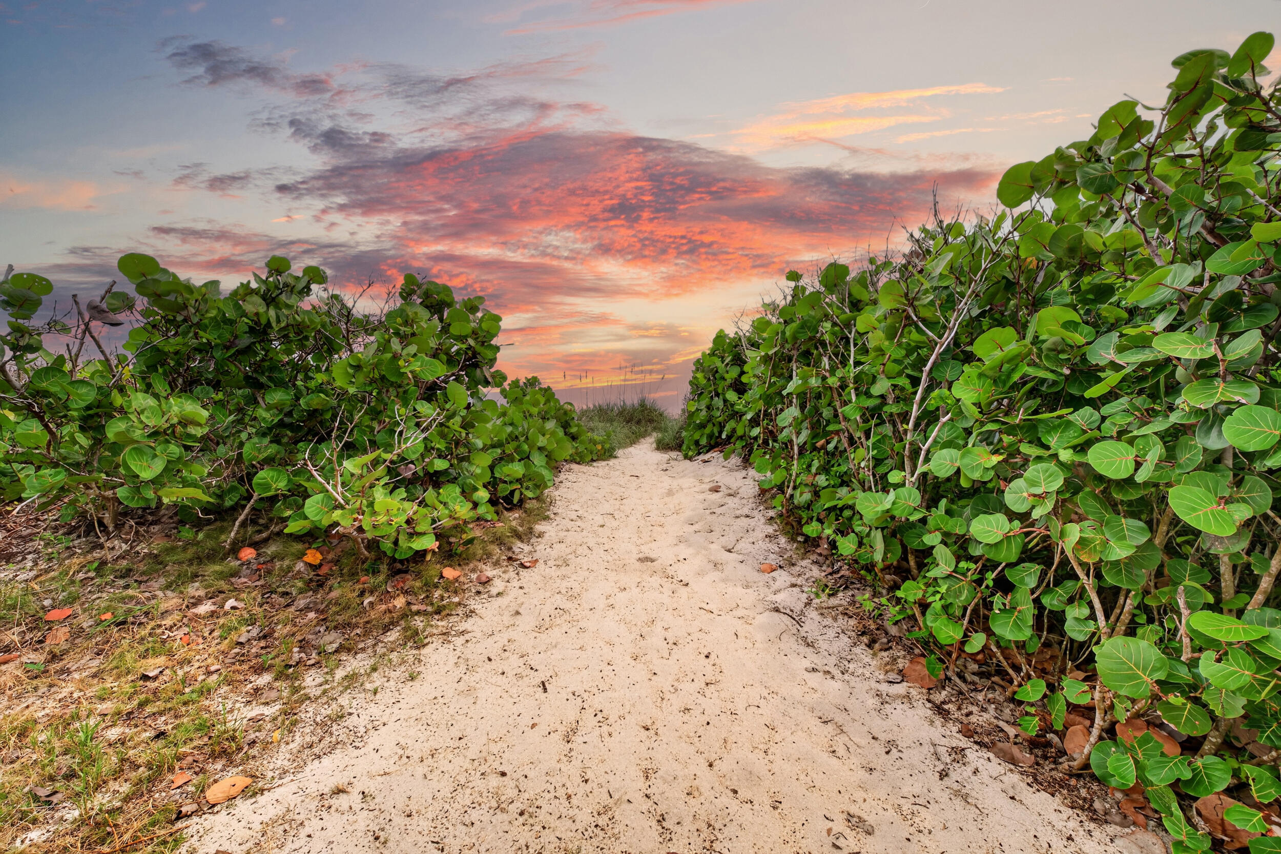 12356 Highway A1a Hwy Vero Beach, FL 32963
