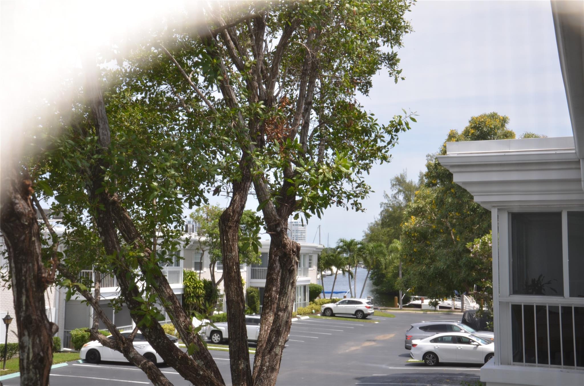 6307 Bay Clb Dr #3 Fort Lauderdale, FL 33308