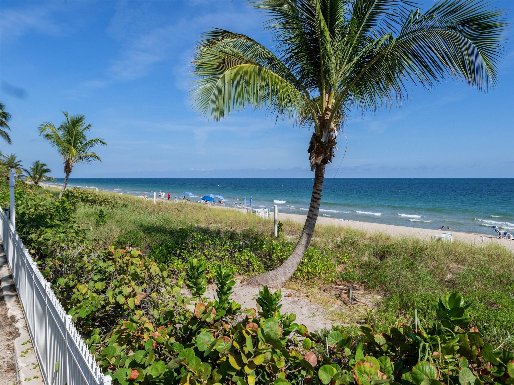 3200 N Ocean #2505 Fort Lauderdale, FL 33308