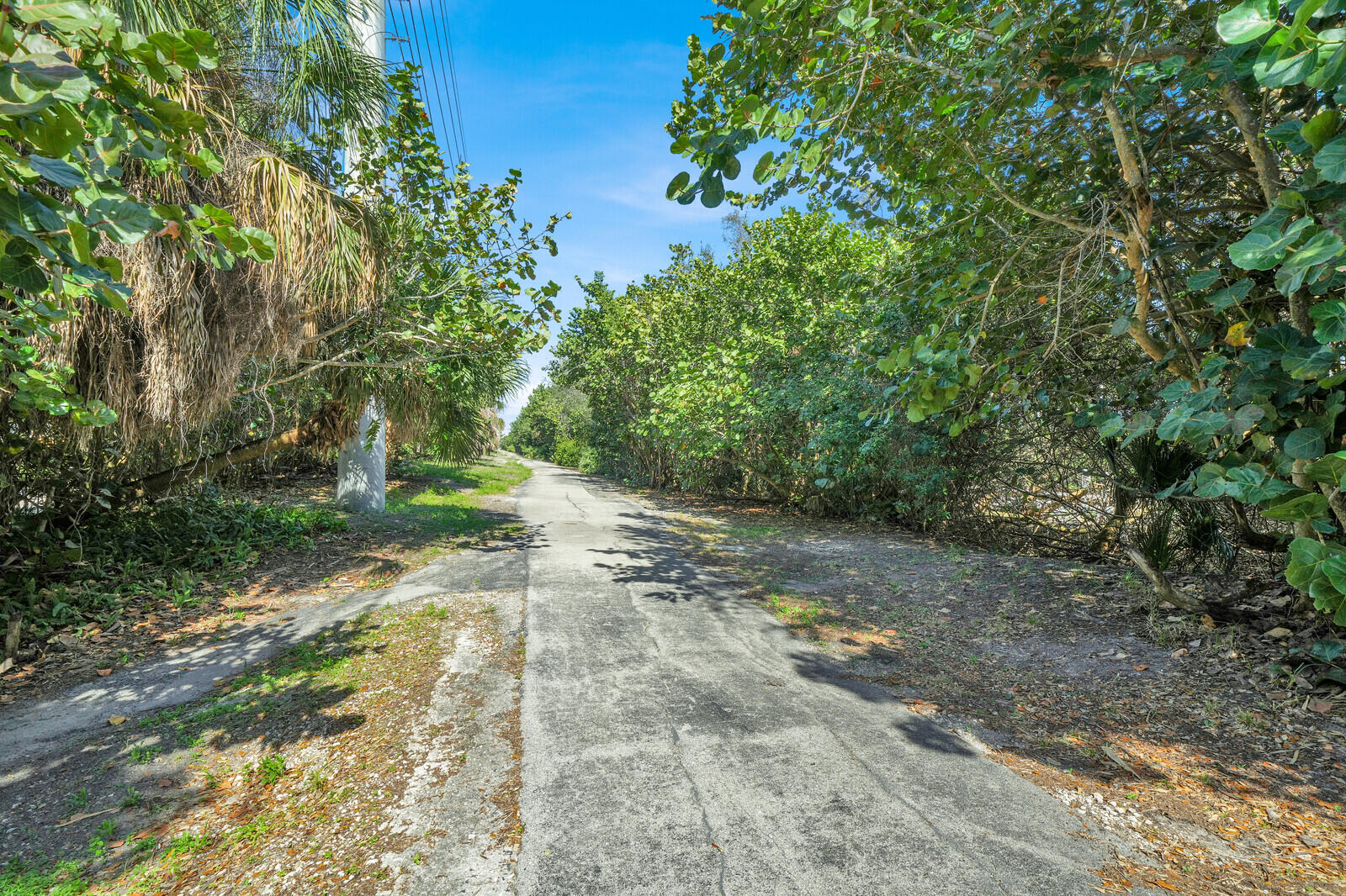 285 E Bay Cedar Jupiter, FL 33458