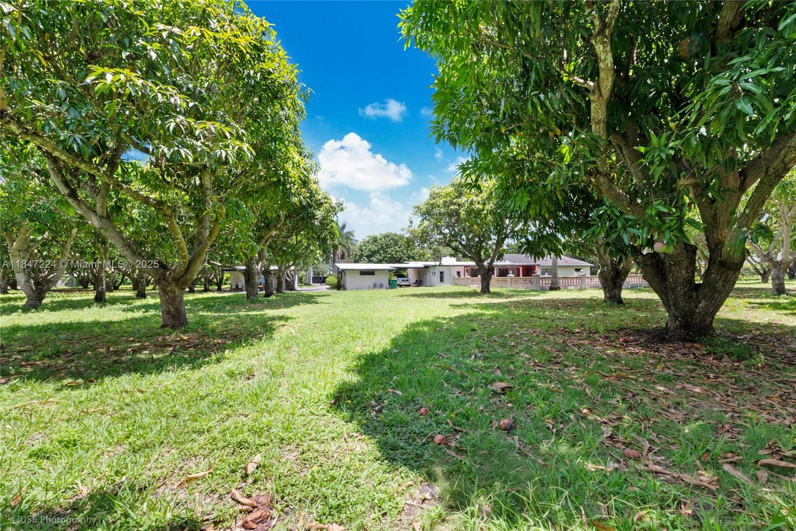 8000 SW 184th St Cutler Bay, FL 33157