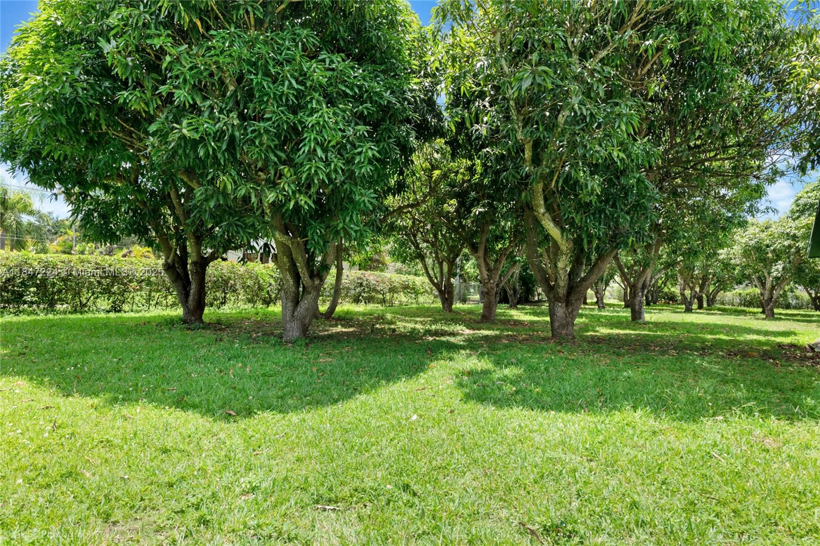 8000 SW 184th St Cutler Bay, FL 33157