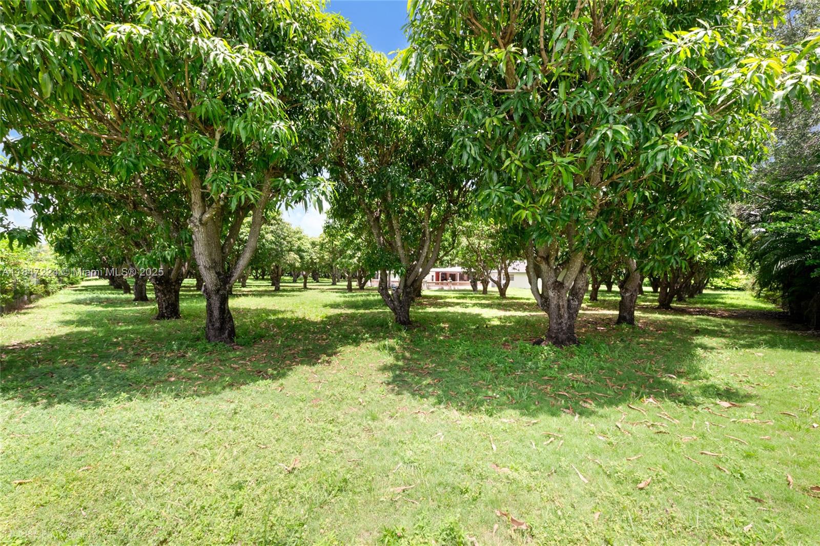 8000 SW 184th St Cutler Bay, FL 33157