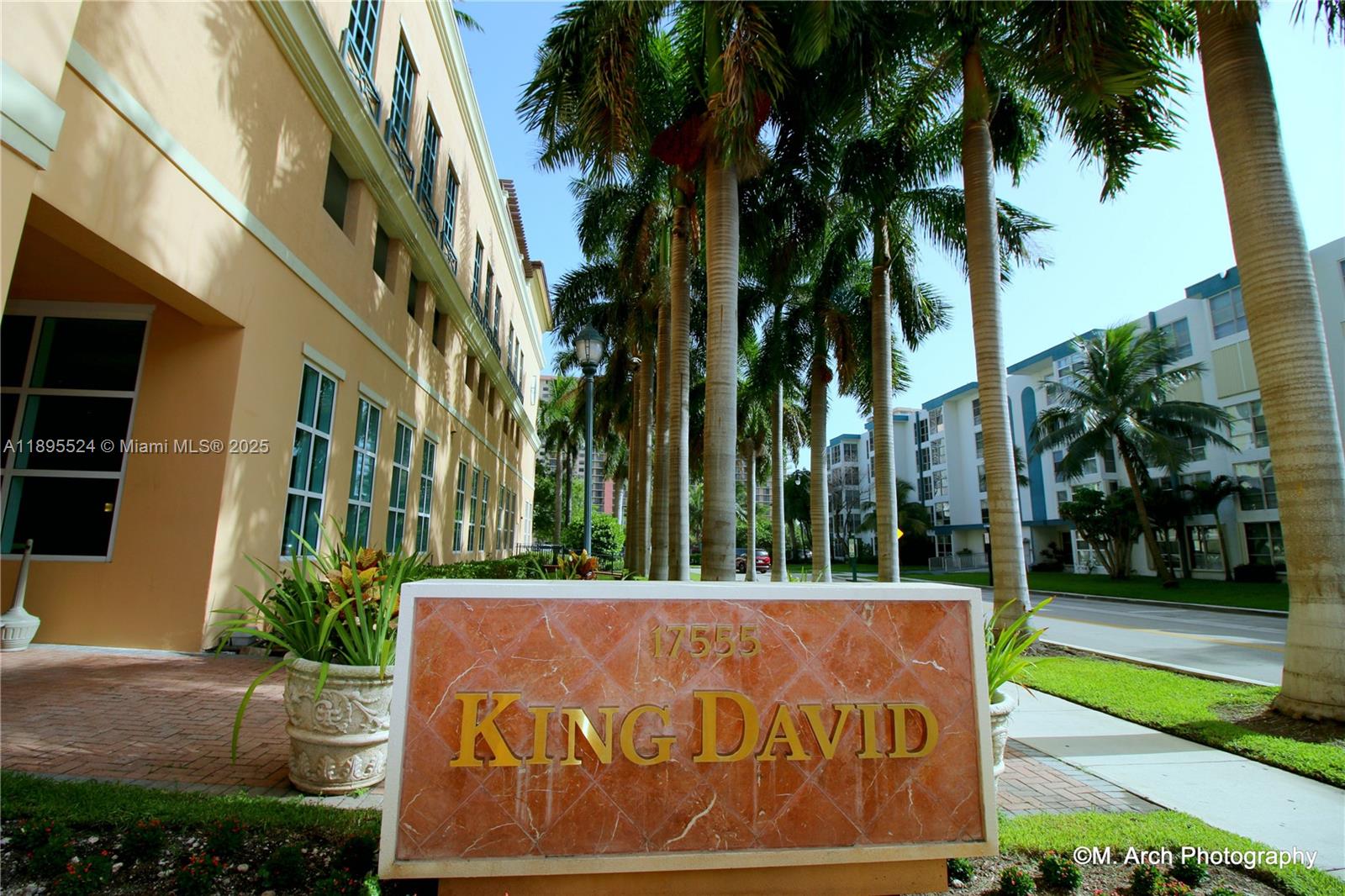 image King David Of Sunny Isles25
