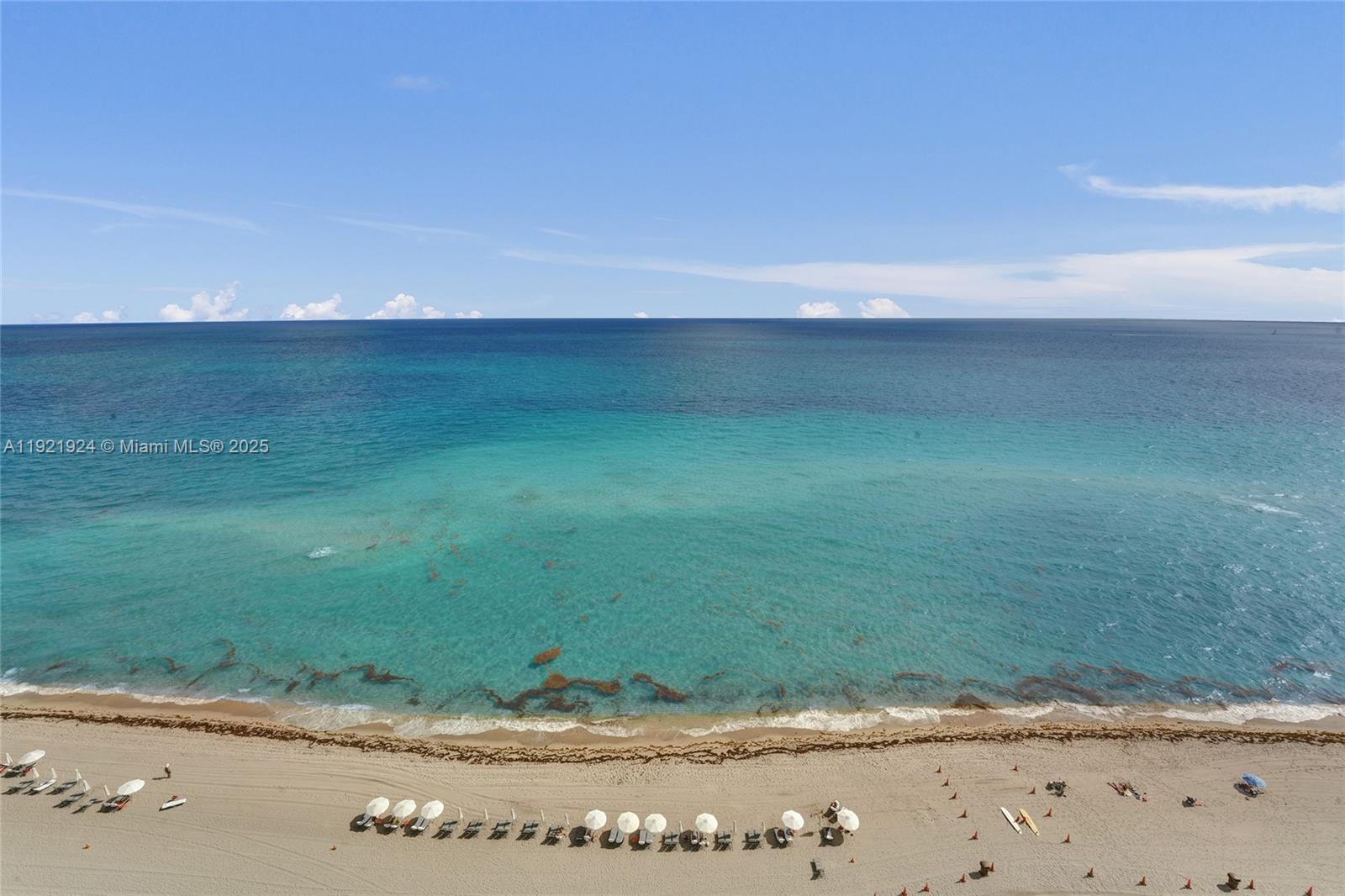 image Trump Tower 328