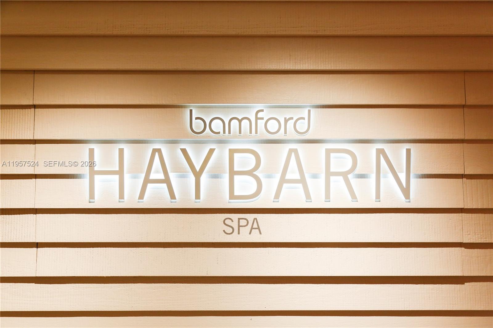 image Roney Palace32