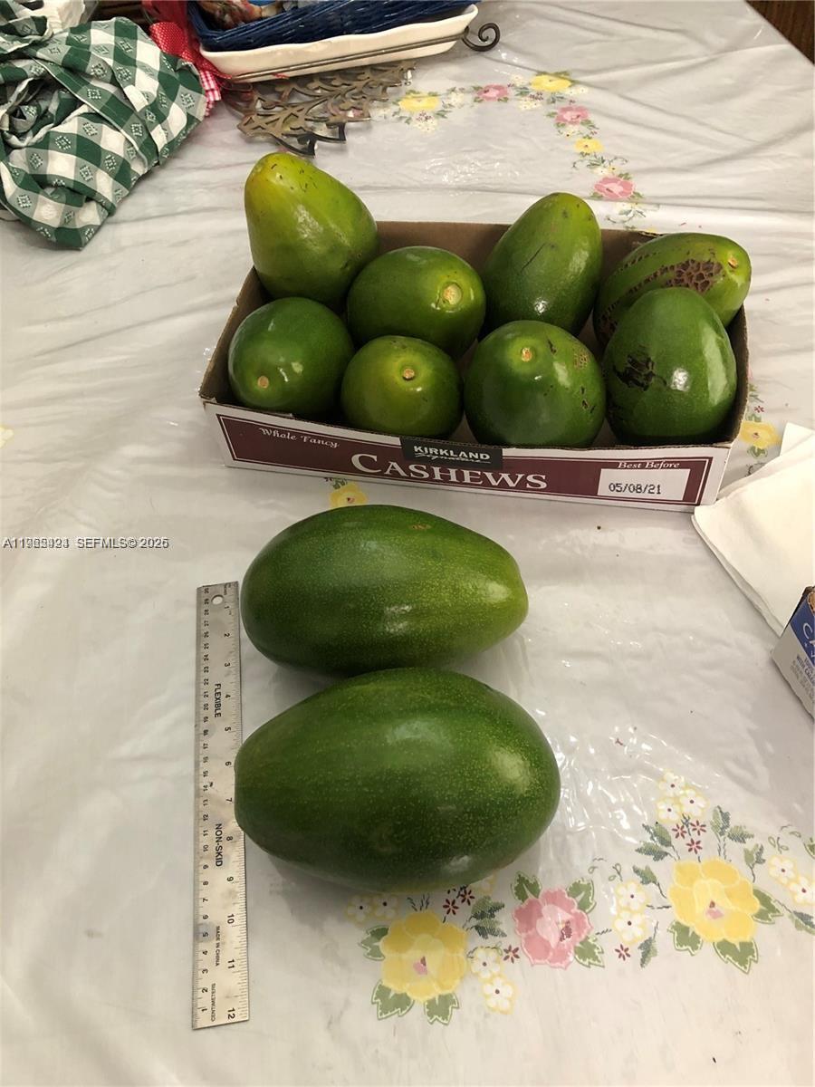 3740 W 5th Ct Hialeah, FL 33012