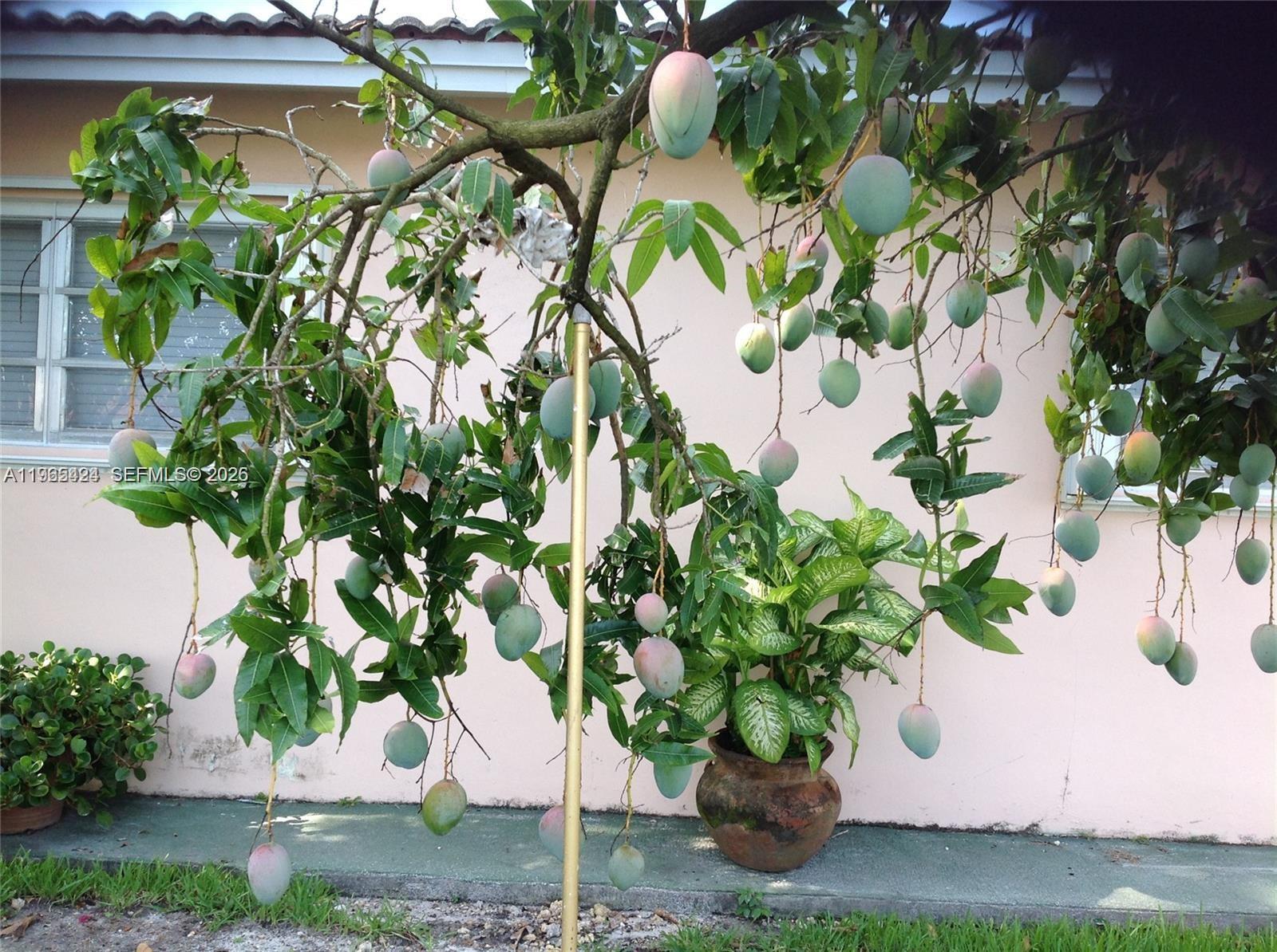 3740 W 5th Ct Hialeah, FL 33012