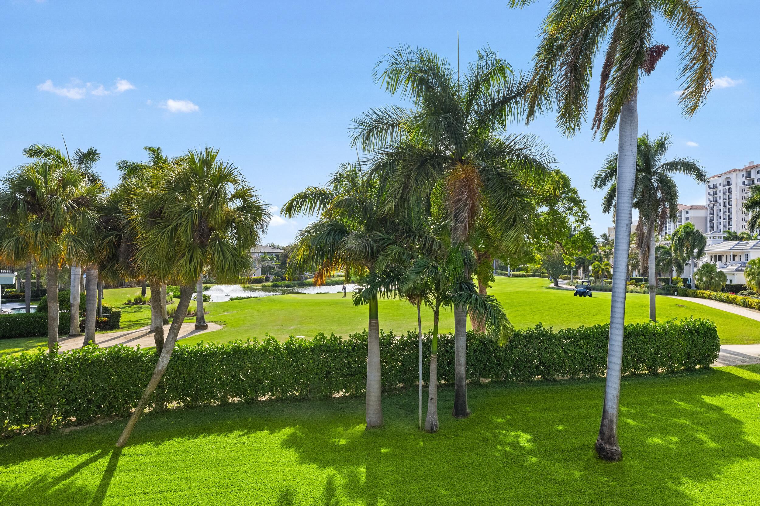 217 Thatch Palm Boca Raton, FL 33432