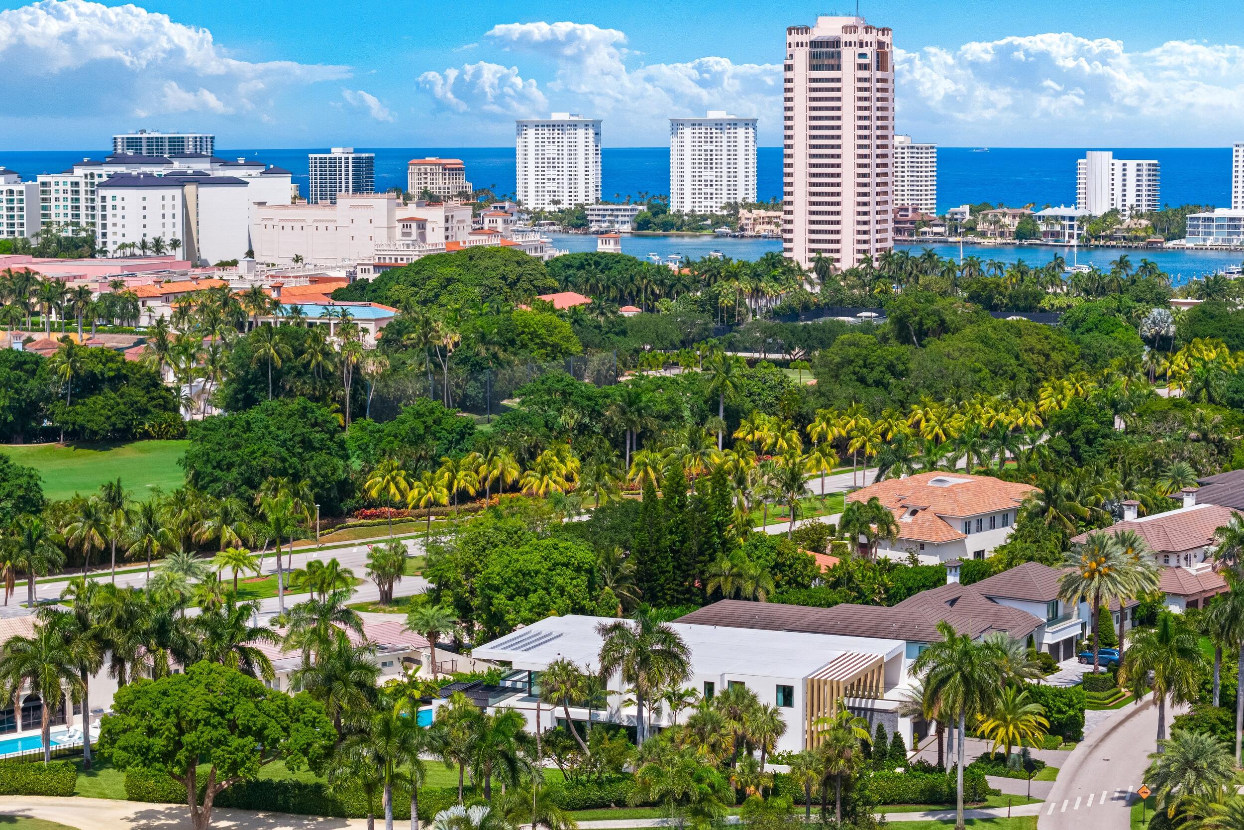 217 Thatch Palm Boca Raton, FL 33432