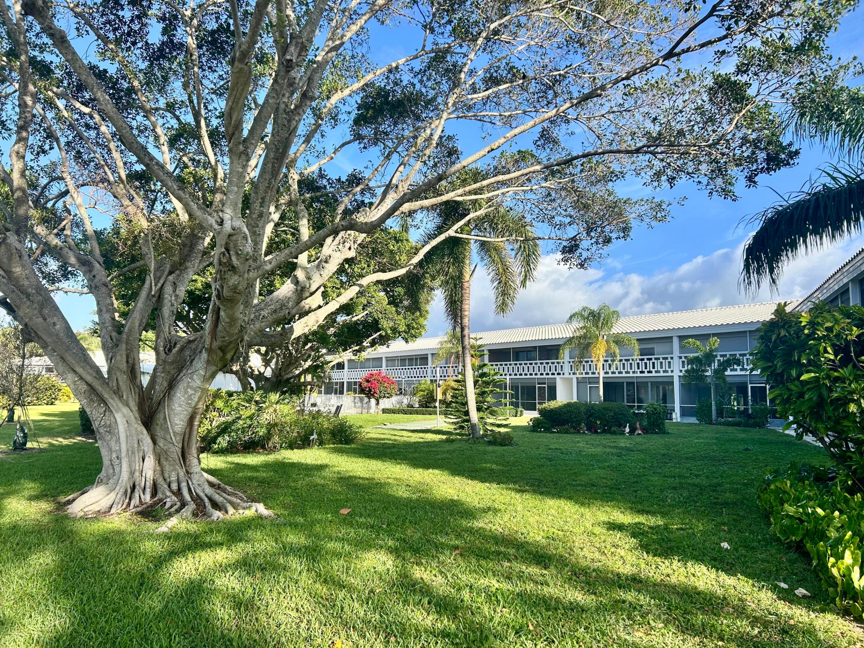 331 Tequesta Dr #216