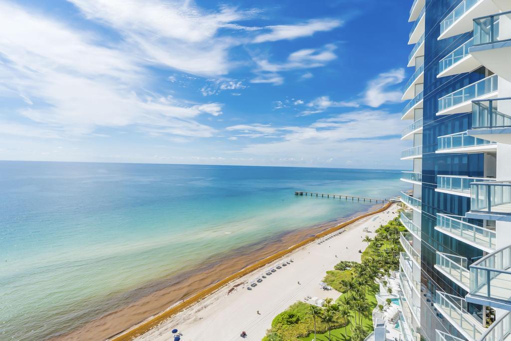 image Jade Ocean45