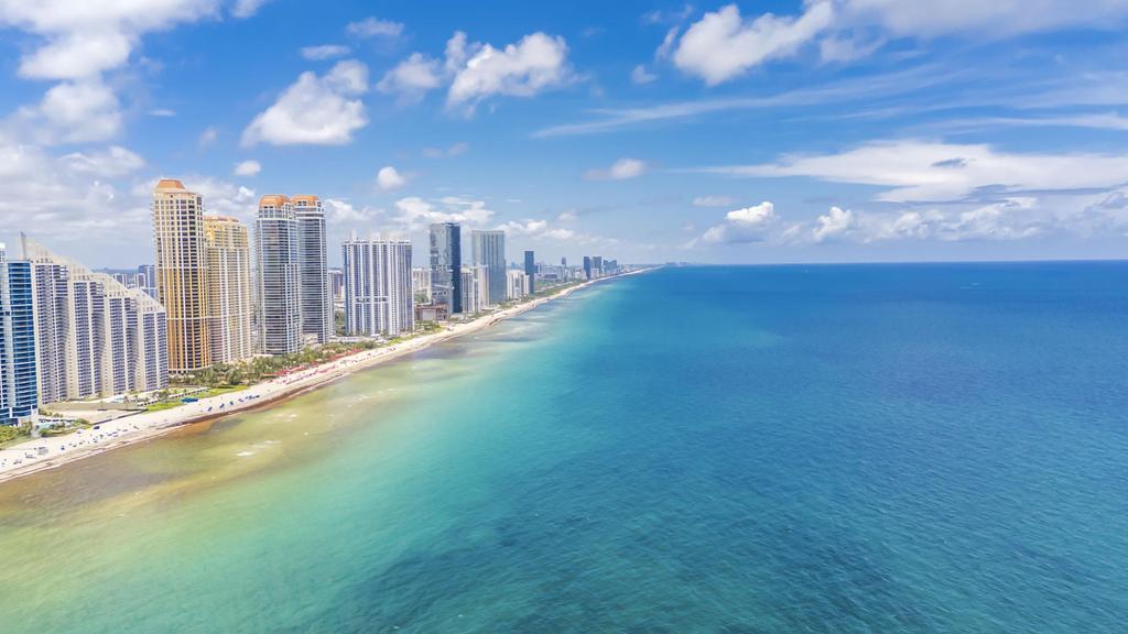image Jade Ocean64