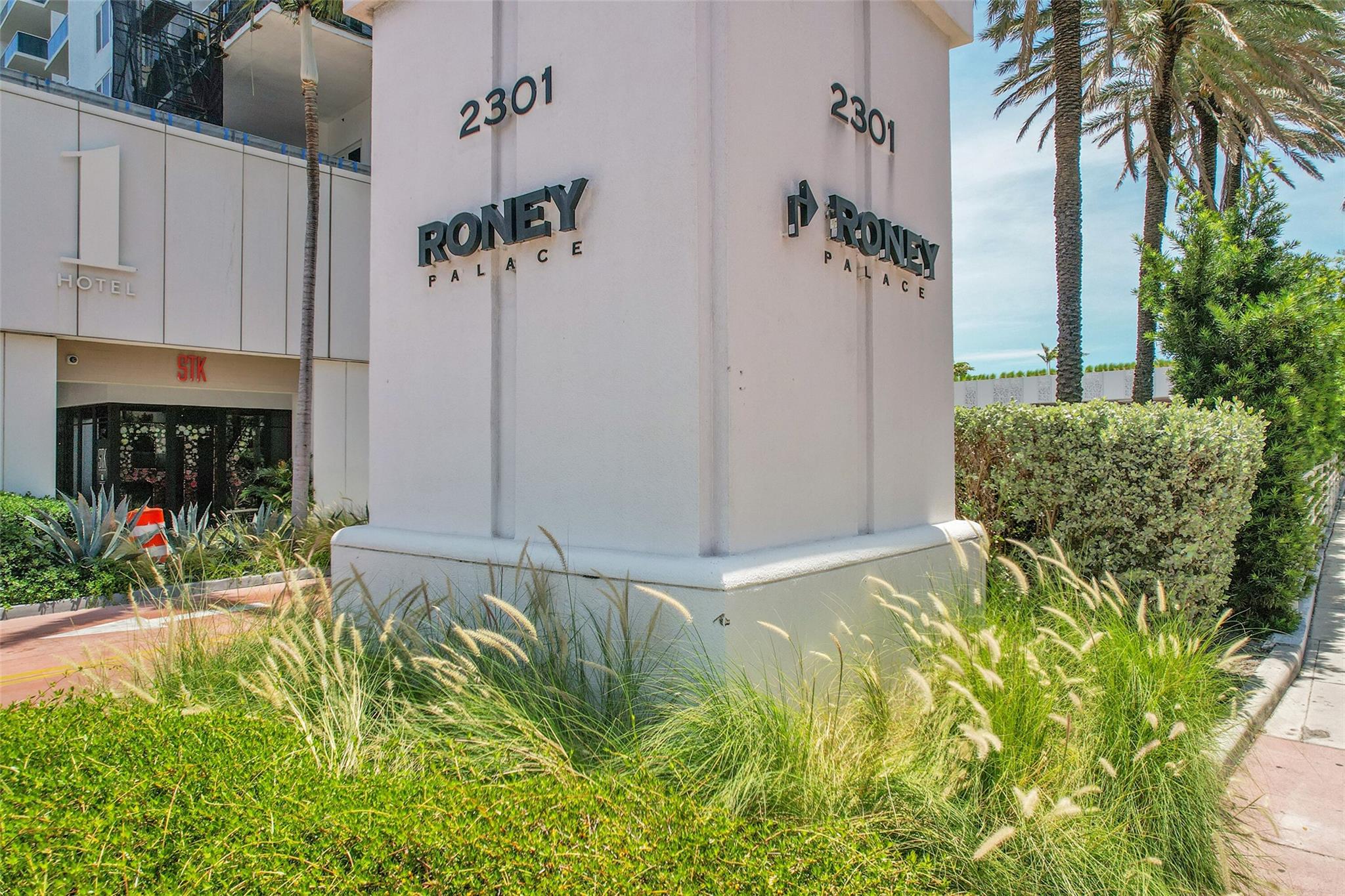 image Roney Palace42