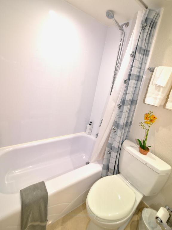 image Winston Towers 700 Condo14