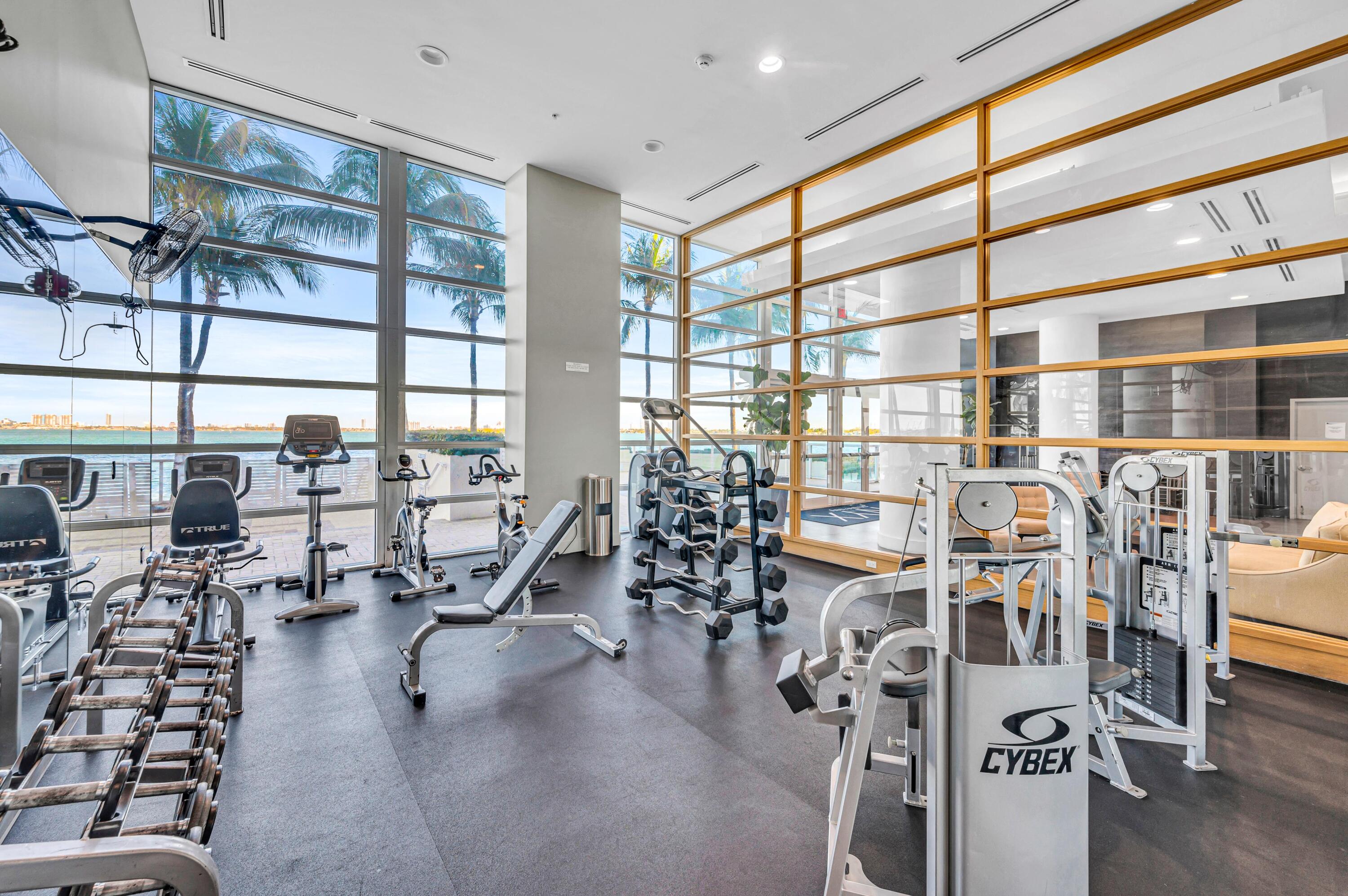 image Onyx on the Bay44