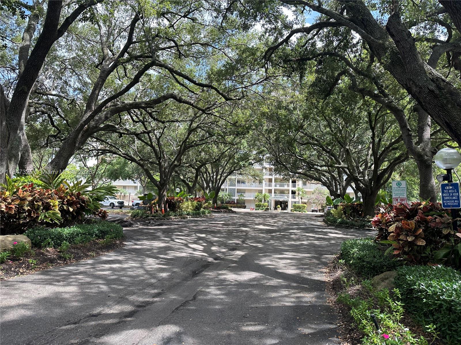 3520 Oaks Way #108