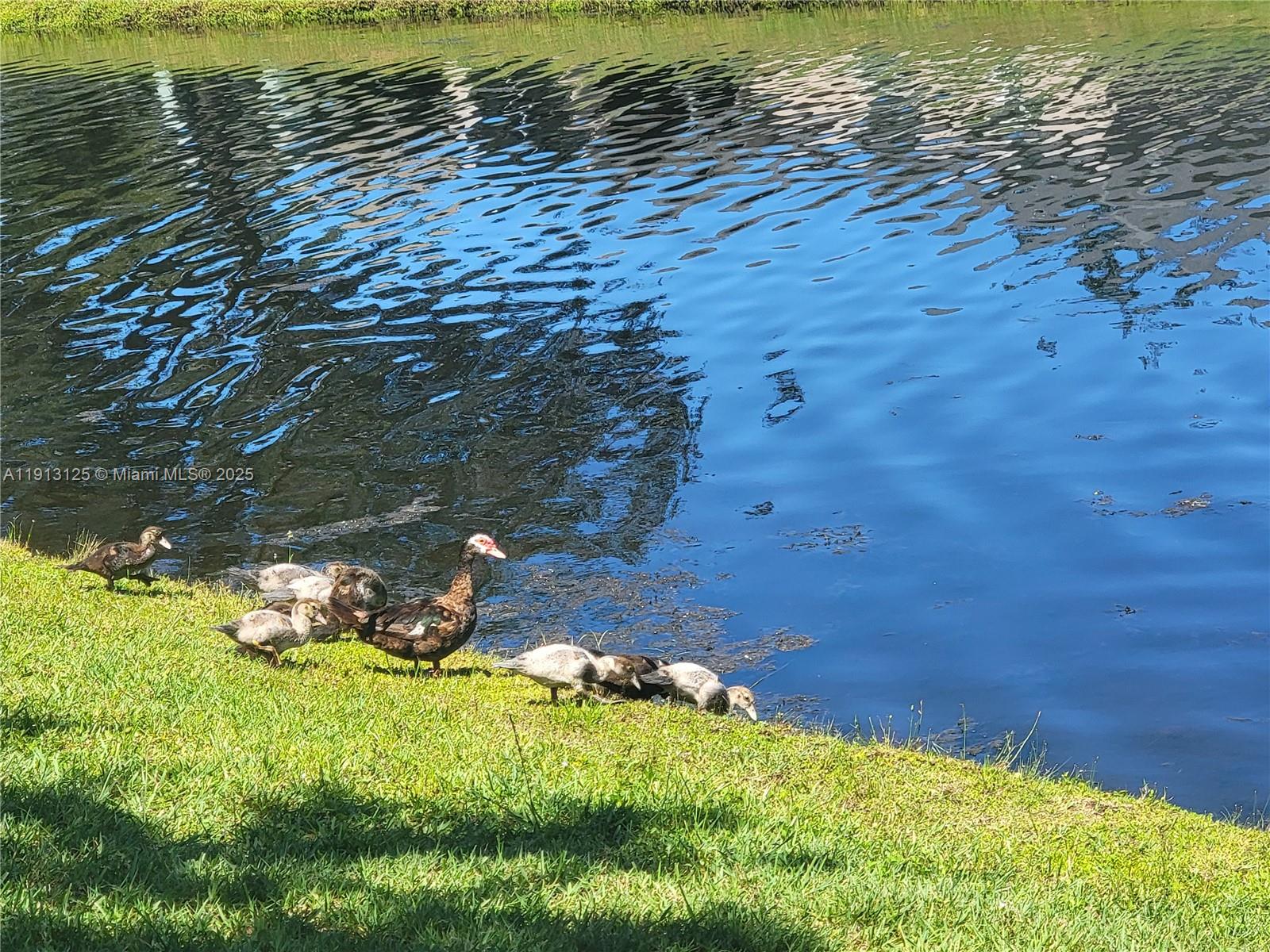 1092 W 13th Sq Vero Beach, FL 32960