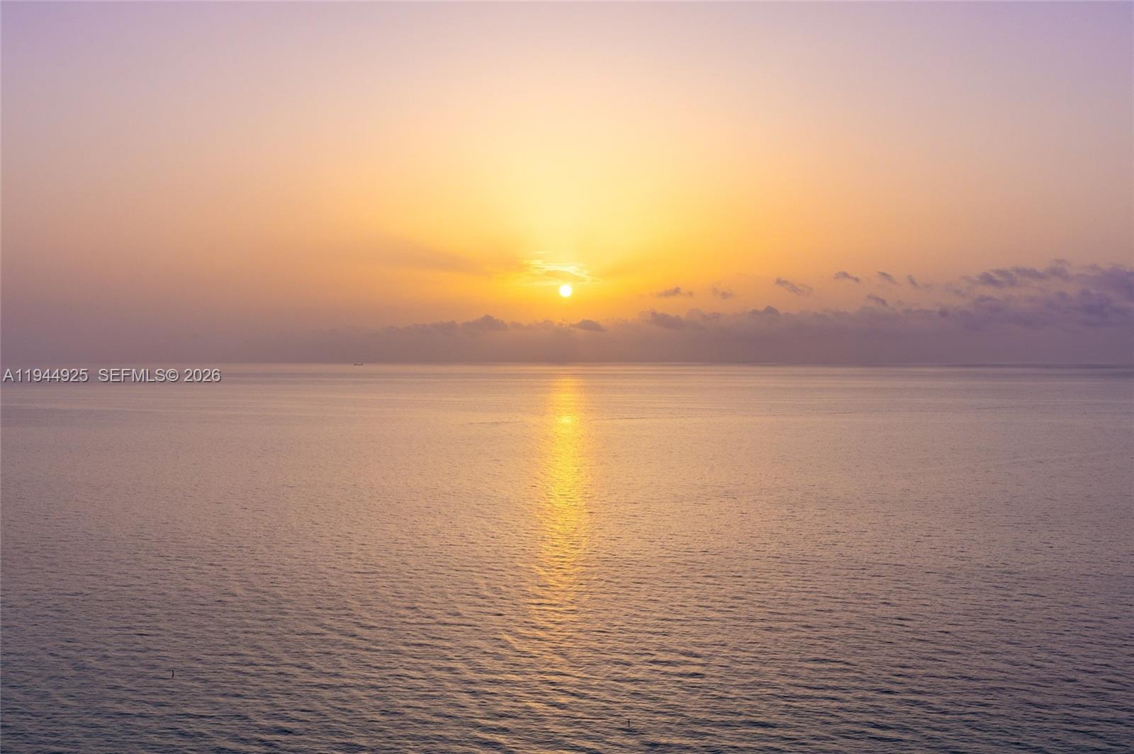 image Trump Tower I47