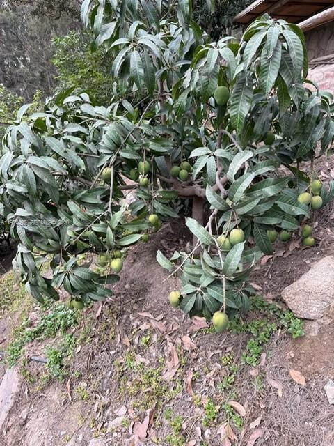 130 Av Malecon, California, Chosica, Lima - Peru Lima, FL 0