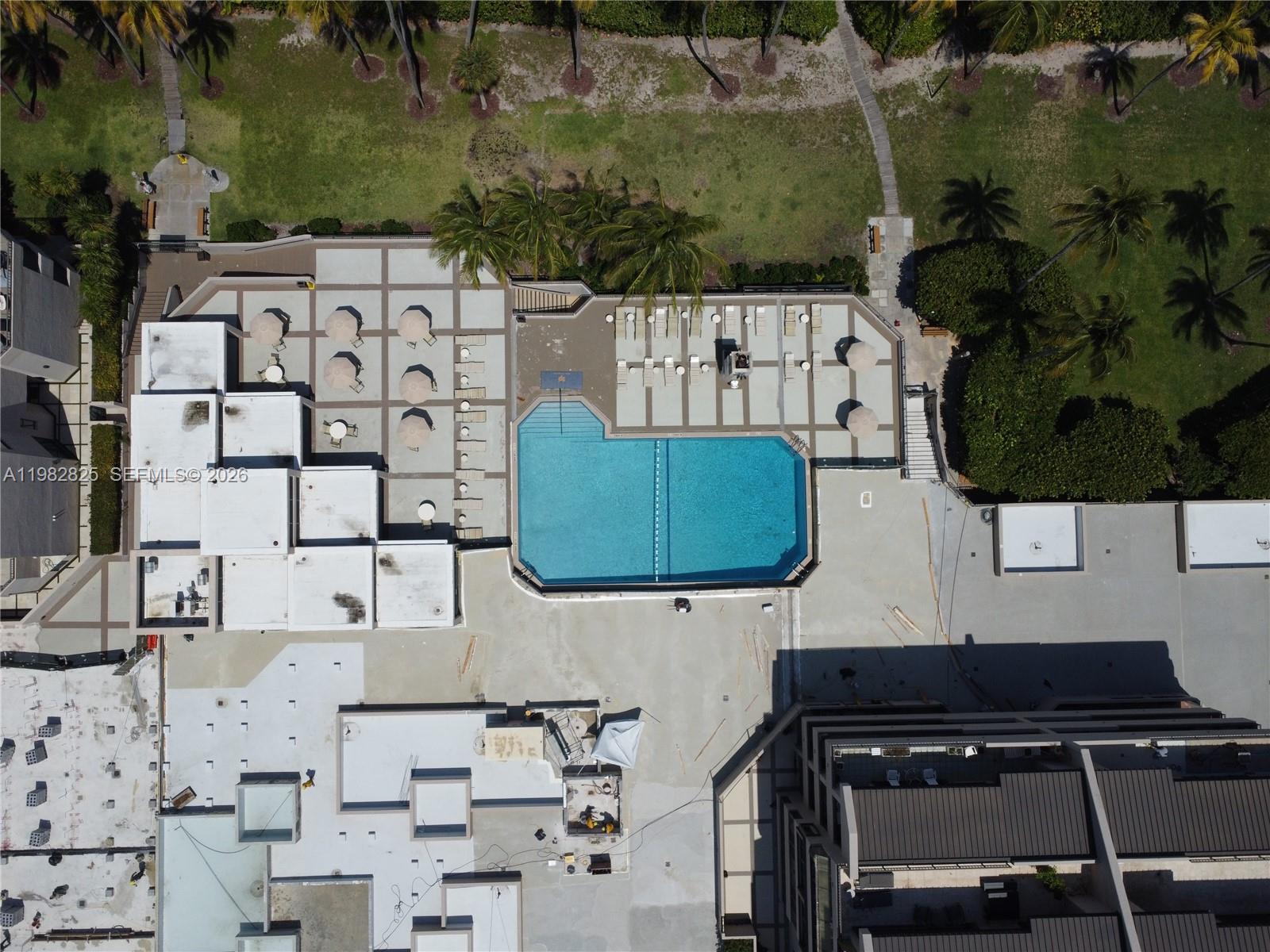 image Tidemark at Key Colony17