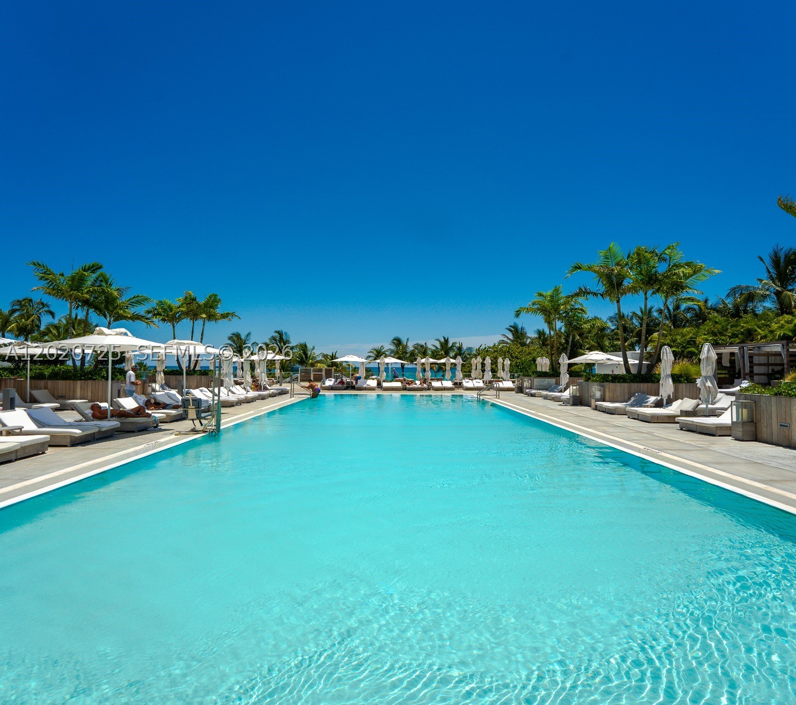 image Roney Palace0