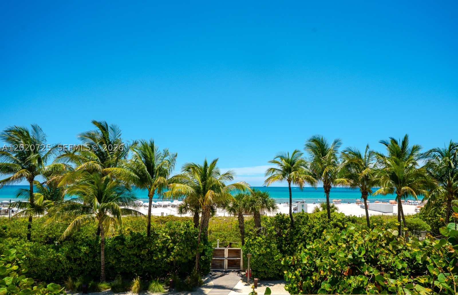 image Roney Palace23