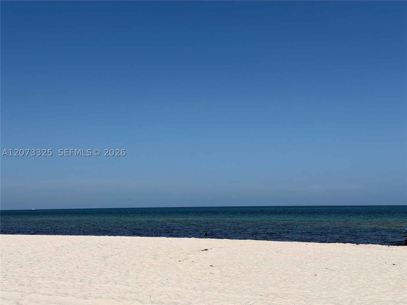 2457 Collins Ave #1405 Miami Beach, FL 33140