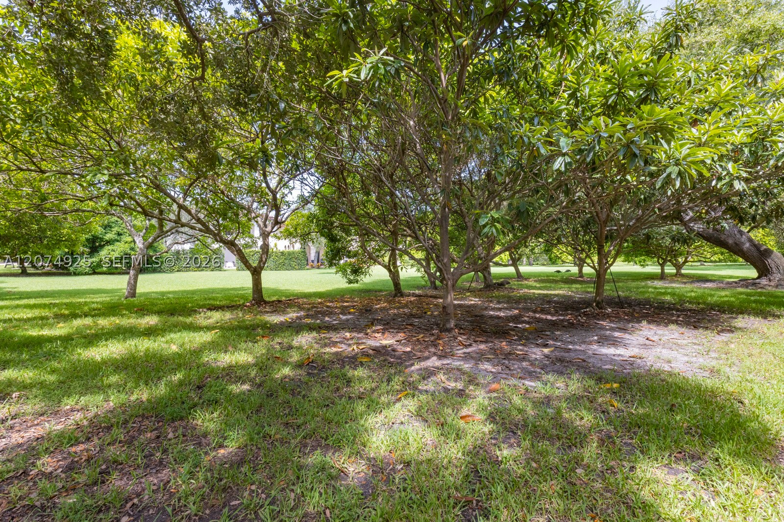 11404 Four Fillies Rd Pinecrest, FL 33156